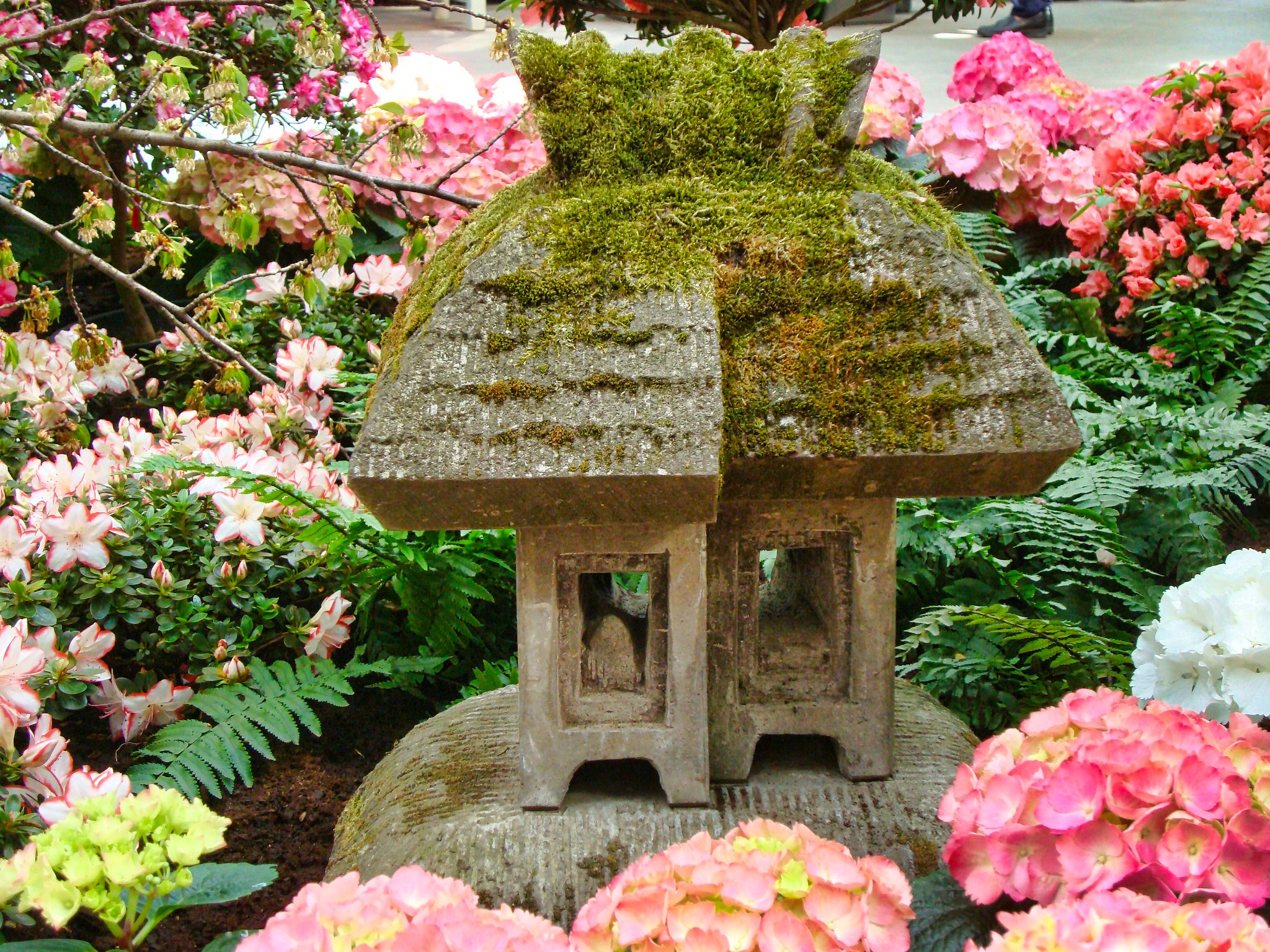Palmengarten